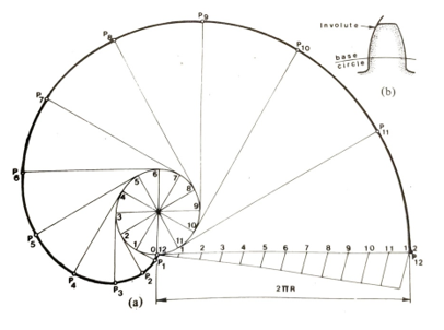 involute img