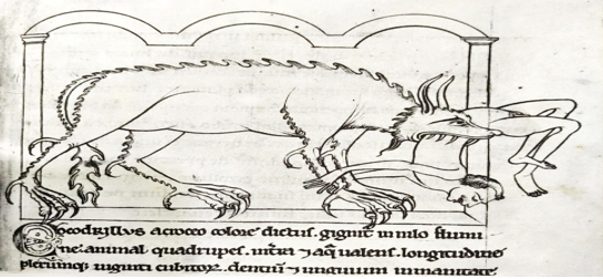 the crocodile from a twelfth century bestiary